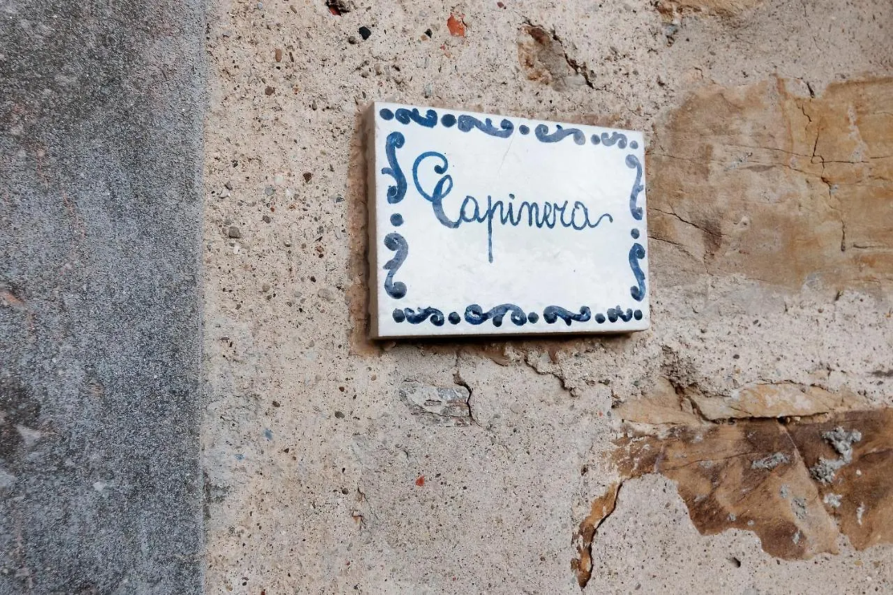 Universal Harmony - Capinera Dicomano