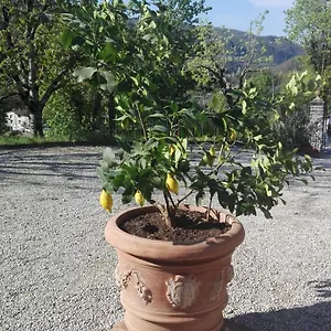 Casina Di Vicchio Dicomano